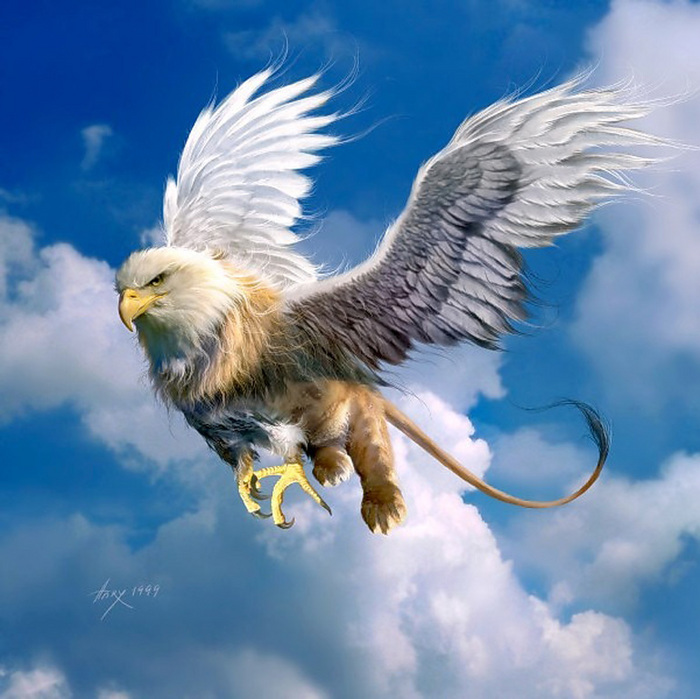 4114817_54.jpg (700x699, 170Kb)