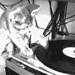 7690049204198a13a9ea455oh.gif (75x75, 21Kb)