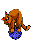 cats_120.gif (128x139, 10Kb)