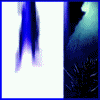 5708873_hay_lin.gif (100x100, 28Kb)