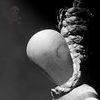 100156.gif (100x100, 16Kb)