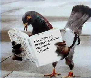 11680.jpg (300x258, 25Kb)