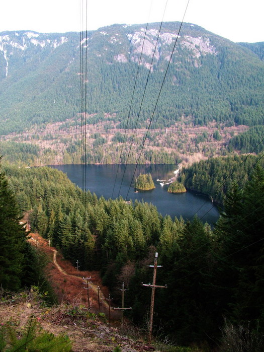 DSCF2554_resize.JPG (525x699, 132Kb)