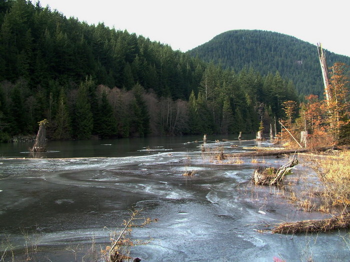 DSCF2492_resize.jpg (700x525, 131Kb)