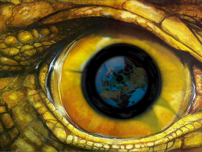   .jpg (700x525, 146Kb)