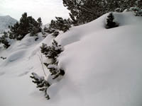 snow small.jpg (200x150, 23Kb)