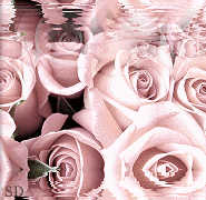 5345992_4993224_056.gif (185x180, 108Kb)