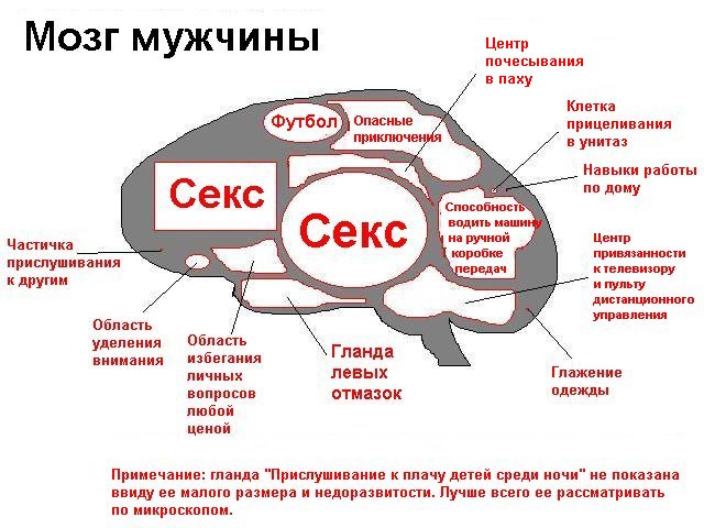 3186773_prikol_504_01.jpg (640x480, 74Kb)