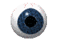 eye6.gif (80x60, 10Kb)