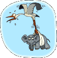 3361504_aist_neset_v_pelenke_slona[1].gif (112x114, 14Kb)