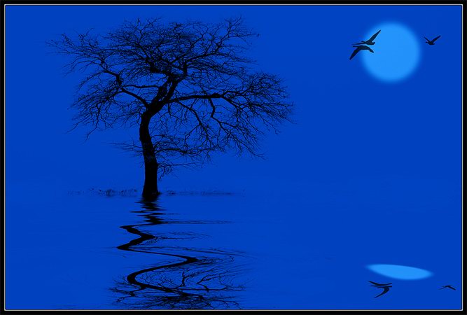 Dream.jpg (667x450, 40Kb)