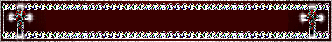 003.gif (468x60, 10Kb)