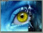 4910609-sm.jpg (150x115, 3Kb)
