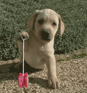 gifs.creep.ru1.gif (280x300, 66Kb)