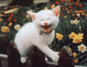 10.gif (290x226, 95Kb)