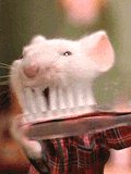 gifs.creep.ru9.gif (120x160, 61Kb)
