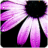 z16354226.png (100x100, 19Kb)
