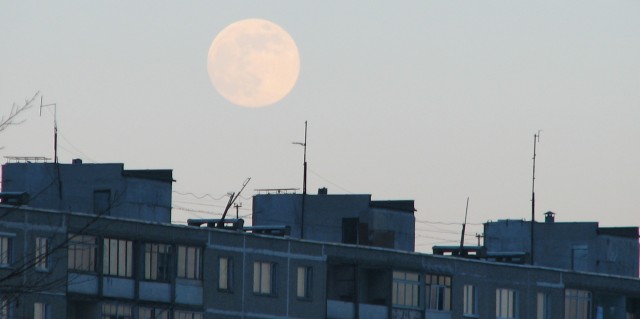 IMG_0055.jpg (640x319, 24Kb)