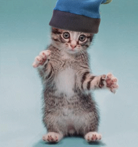  .gif (280x299, 154Kb)