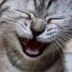 782420_836706.jpg (150x150, 6Kb)