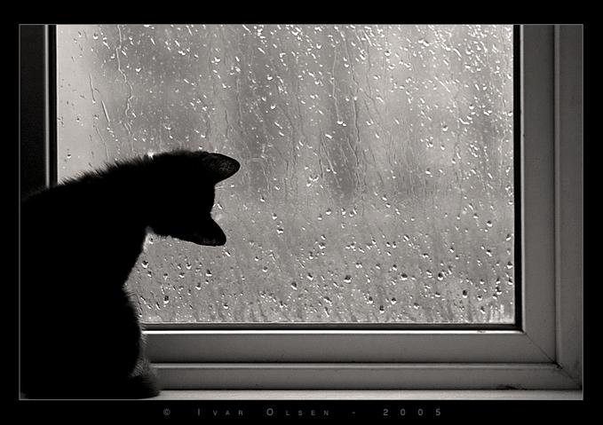 5378763_2803929.jpg (679x479, 47Kb)