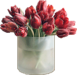3984384_f4_redtulips_PH.gif (156x151, 14Kb)