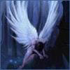 angel48.jpg (100x100, 3Kb)