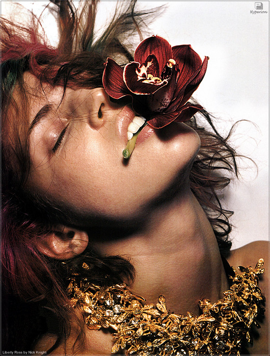 3857943_2817696.jpg (530x699, 235Kb)