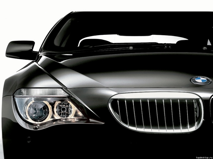 bmv.JPG (700x525, 138Kb)