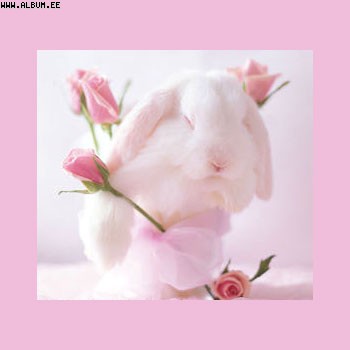 5627157_2198726.jpg (350x350, 13Kb)