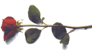 rosesd.gif (188x112, 6Kb)