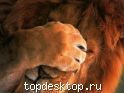 itl1.jpg (124x93, 3Kb)
