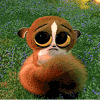 807552_871064.gif (100x100, 31Kb)
