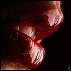 5178237_810577_359592_kiss_me_avatar1.gif (140x140, 31Kb)