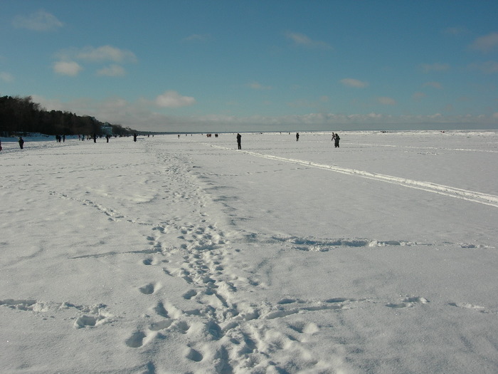 DSCN0292.JPG (700x525, 126Kb)