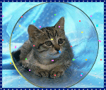 .gif (150x128, 86Kb)
