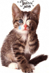 .gif (101x150, 60Kb)