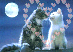 .gif (150x106, 54Kb)
