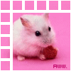 2685740.gif (100x100, 6Kb)