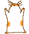 gerbil.gif (60x70, 3Kb)
