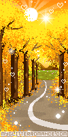 6047485_forestroad.gif (100x200, 28Kb)