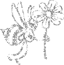 p4el.gif (128x130, 2Kb)