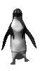 31.gif (60x100, 14Kb)