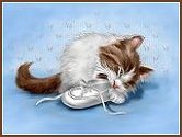 BabysFirstShoeSm.jpg (166x125, 6Kb)