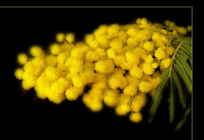 2310465.jpg (699x481, 46Kb)