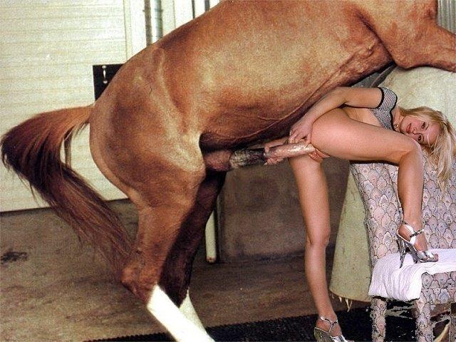 Фотографии лошадь ебет девушку.