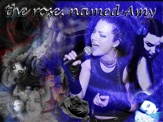 the_rose_named_Amy.jpg (640x480, 276Kb)
