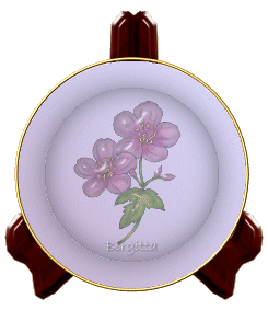 platenew6.gif (245x283, 28Kb)