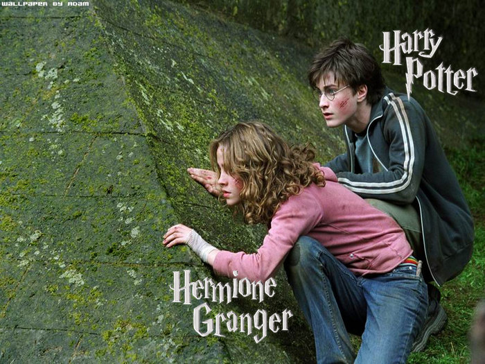 harry-hermione.jpg (700x525, 140Kb)
