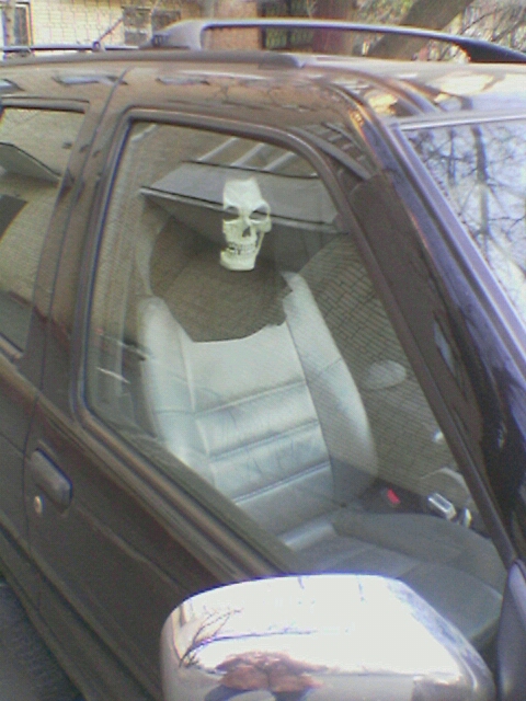 2.jpg (480x640, 182Kb)